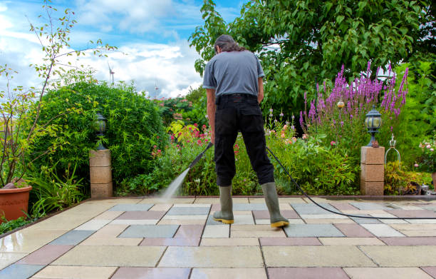 Animal Enclosure Cleaning in Crestview Hills, KY